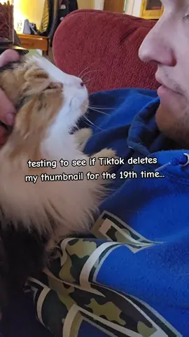 16 of my las 18 videos have had the thumbnail erased. I've tried all of the 