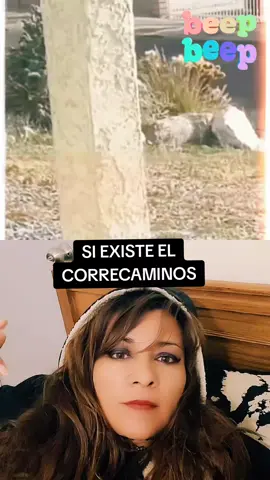 #dúo con @Ciberpandora #roadrunner  si existe #risas #Humortiktok #comediatiktok #parati  #viral  #fyp  #videoshumorycomedia   #kekaotaki  #melita79 #mecaigoderisa 