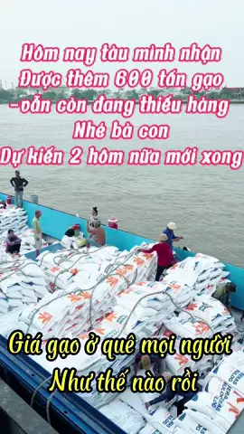 Nghe đồn lúa đang tăng hả mọi người #gao #xuatkhaugao #gialua #mientay #ship #ghelua 