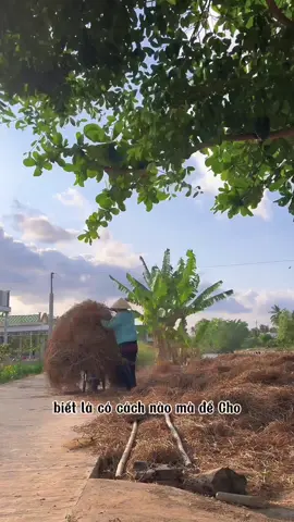 Buồn quá mấy ní ơi 🥹 #xuhuong #xuhuongtiktok #Vlog #hienonha #nongdan #viral #trending #fyp 