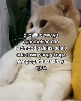 terheran heran kdg#fy #foryou #xyzbca #fyp 