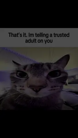 never fails 💯 #catsoftiktok 