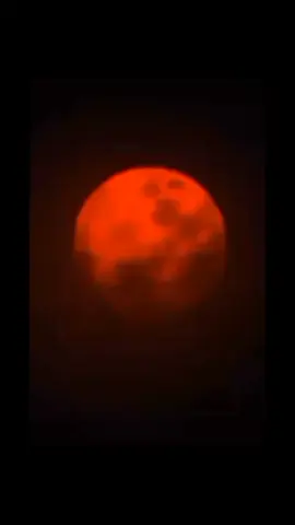 #BADALEE --FEEDBACK KOREA DANCE AWARDS 2024 💚 #이바다 #바다 #badaleeedit #badaleechoreography #foryou #fyp #xy #dance #hiphop #korea 