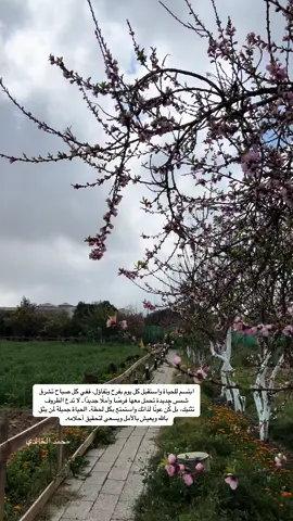 #explore #اكسبلور #كلام_تحفيز_وطاقة_إيجابية #شعور 