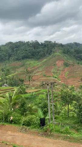 Lebaran pasti keluarga kumpul, naros #foryoupage #storysunda #pedesaansunda #lembursunda #suasanapedesaan #suasanapedesaan🌾🌿🌴🌲💞📷 #kampunghalaman #sundasong #lagusunda #fyp #fypシ゚viral 