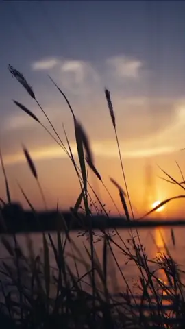 بِسْمِ اللَّـهِ الرَّحْمَـٰنِ الرَّحِيمِ  سورة #الصافات للشيخ #خالد_الجليل #الجمعة #السنة #قران ‏