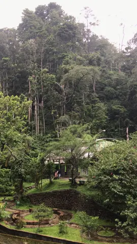 Vibes kaliurang pas ujan emg syahdu bngt 🥹🫶🏻