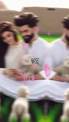 #CapCut # ভালোবাসা এমনি মায়া..রে যায় না কখনো তারে ভোলারে# ❤️❤️🫰❤️❤️