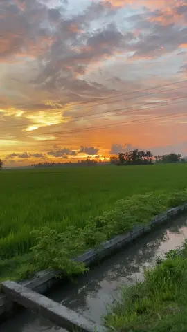 Sido kapan iki cak ?  #bahanswmu#menjelangramadhan#bukapuasa#vibes#fyp 