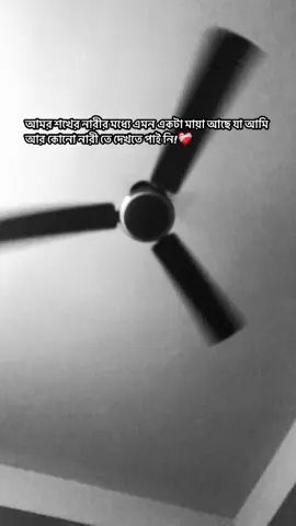 #tiktok #foryou দেখতে পাইনি!💔