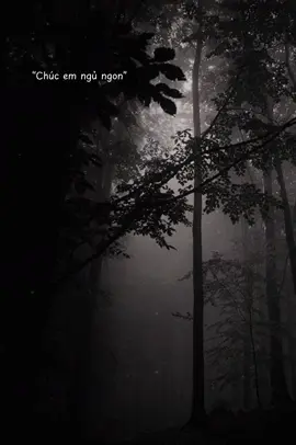 Mình yêu mình xa #nhachaymoingay #hoanghanhofficial #xuhuong #cupcut  #CapCut 