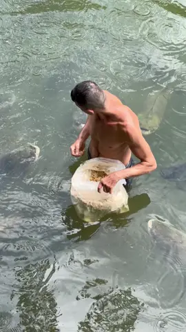 #valdemir  encantador de peixes gigante 