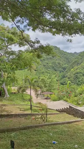 🍃