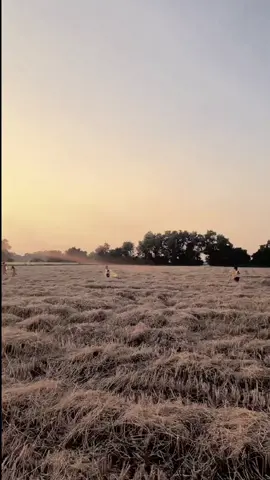 Thả diều trên đồng#quetoi #quehuong #kyuctrongtoi #kyuctuoitho #tuoitho #quêtôi #quêhươngtôi #kyniemxua #kyniem #kyniemtuoitho #motthoi9x #motthoidenho8x9x #bìnhyên #anyen #mon #naruto #scary #Science #night #nightcore #goodthing #viral #goviral #fyp #fy #fypシ #family #nôngthôn #nôngnghiệp #lúa #thảdiều #thadieu#1995 #trẻcon #vuive 