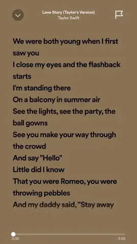 #lovestory#songlyrics #music #spotifylyrics #fypシ゚viral #fyp 