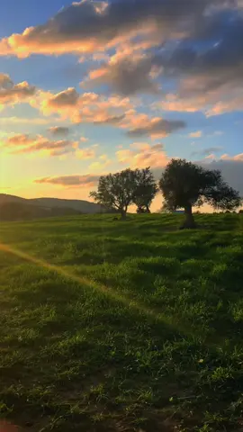10.03.2024 . . . . #fés #morocco #photography #videography #beauty #reels #calm #sky #peace #sunset #tiktokers 