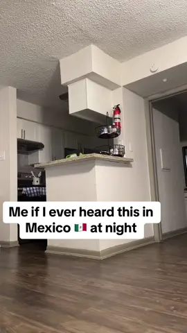 Mexico at night is a different breed #fyp #parati #bruh #mexico #music #mexico🇲🇽 #night #scary #dangerous #nike #chains #spanishmusic #nosabo #careful #humor #fyppppppppppppppppppppppp #makethisviral #reynosa #riobravo #jalisco #tamaulipas 