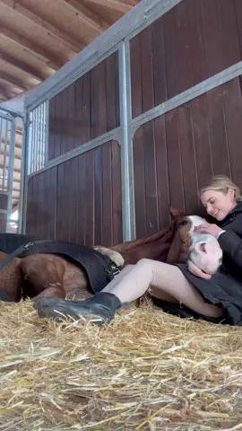 Horses can give you so much 🥹🫶!!! Das war heute ein so unfassbarer Moment mit Fiabesco 🥹🥹🥹 #pferdeliebe #horselove