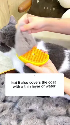 Since the steam brush, the problem of cat's floating hair has been solved.#SteamBrush #petsteambrush #groomingbrush #petbrush #cleaning #cutecat #catsoftiktok #fypシ #goodthing 