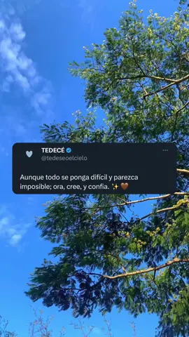 Amén 🤍 @tedeseoelcielo 