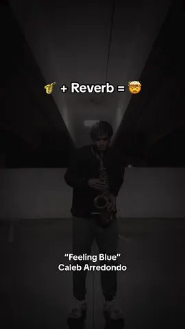 Sax + Caleb Arredondo + Reverb = 🤯 #sax #saxophone #saxophone🎷 #jazz #jazztok #newmusic #fypシ #fyp #musicdiscovery #reverb #altosax #altosaxophone 