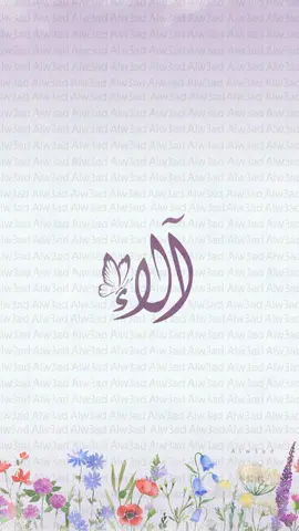بيبي آلاء 💜 #بشارةمولودة #بشارة_مولودة #بشارة#مواليد_جدد #آلاء #صغيرتي #مولوده #مولودتي #اهلا_ياماما #بشارة_حمل #حوامل #امهات #بشارة_ولادة #بيبي_آلاء #ربي_اوزعني_ان_اشكر_نعمتك #اكسبلور #بدون_موسيقى #بدون_ايقاع #قران_كريم 