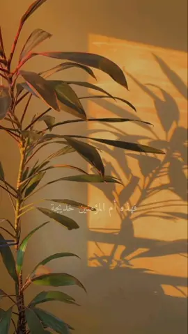 #اللهم_صل_وسلم_على_نبينا_محمد #سيدتنا_خديجة #oops_alhamdulelah #الله_اكبر 