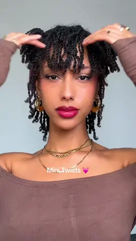 #minitwisthairstyles #minitwists #type4hair #minihairstyles 