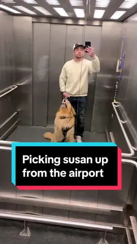 Susan iz back!🤩 #bestmomever #motherslove #goldenretriever #mothersday 