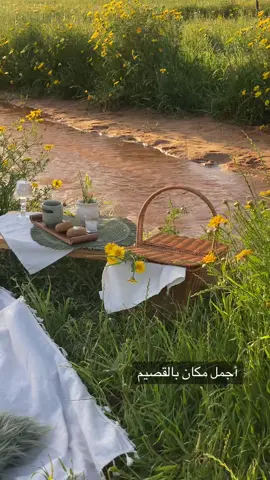 أجمل الاماكن 🍃🐎 #fyp #foryou #fypシ #explore #اكسبلورexplore #trending #القصيم #فلو #ترند #trend #يومياتي #tiktok #تصوير #الناصريه #محمية_الناصريه #رياض_الخبراء #خيل_وخياله🐎 #ورد #جمال #مزرعة #اماكن_القصيم 