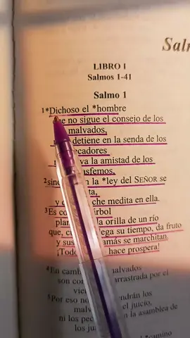 Salmos 1: 1-3 #salmos1 #versiculosbiblicos #biblia #jesusmipastor #Dios #Señor #Cristianos #Cristo