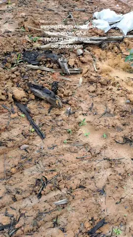 😁😁😁😁#fyppppppppppppppppppppppp #trend #truck #batubara #miyorprimaabadi 