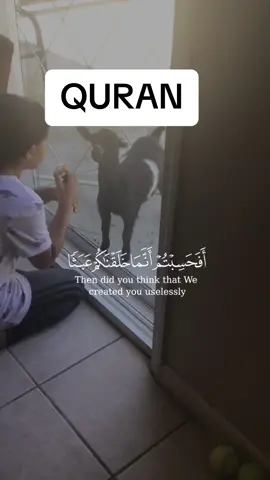 Recite Quran💚💚 #fyp #quranpaak #islam #quran_alkarim #quranrecitation #quran #tiktokusa🇺🇸 