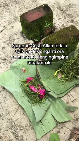 Assalamualaikum adek