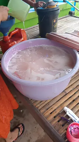 minum elit beli ballo sulit🤣