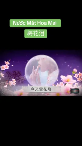 Học tiếng Trung qua bài hát 梅花泪 - Nước Mắt Hoa Mai. #phonthe #gianthe #chinese #learning  #hanngu #filenghe #tiengtrungmocmoc