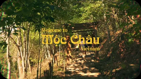 Mộc Chau, Vietnam #mocchau #vietnam #cinematic #film #videography #filmmaking #fyp #cinematography #aesthetic #filmtok #colourgrading 
