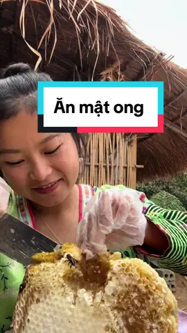 Mật ong khoái rừng thơm ngon #sungbau #sungbau02 #sungbau2002 #lammevungcao 