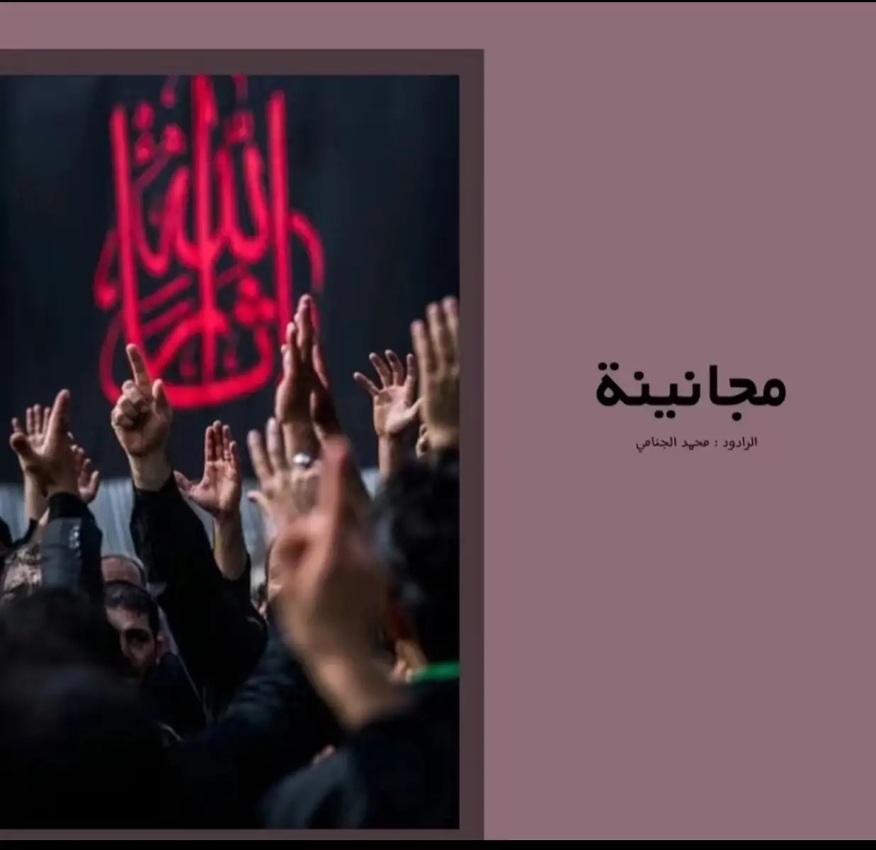 #313 #مجانينه_محمد_الجنامي #كربلاء 