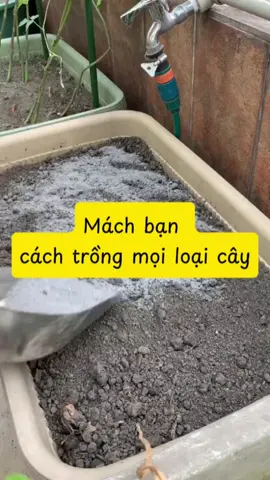 🌼🌿 Kỹ Thuật Trồng Cây Cơ Bản 🌿🌼 - Dành cho người đang tập trồng cây. Trồng cây giúp giải tỏa mệt mỏi, giảm căng thẳng và giúp cho con trẻ rời xa điện thoại, máy tính... #trongrautainha #rausachtutrong #phucannong 