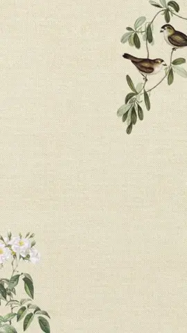 بشارة الحفيد للجدات حلالكم 😍🤍🌿.
