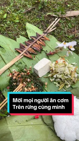 Một bữa cơm tiêu chuẩn 16k của mình, trên rừng sẽ có gì #tamdaoquan #atuaphinhho #anhcanboxa #shantuyet #tra #uongtradi 