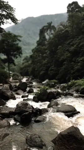 #gamon #sadvibes🥀 #galau 