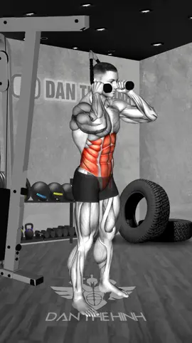 BÀI TẬP BỤNG 6 MÚI HIỆU QUẢ CHO DÂN THỂ HÌNH #tapbung #6mui #abs #workout #absworkout #danthehinh 