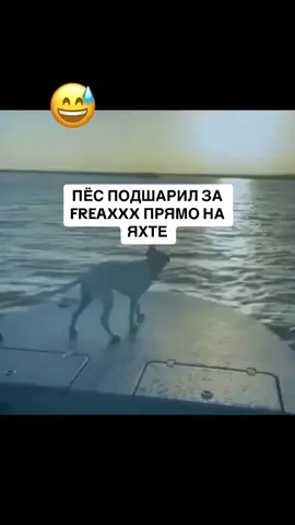 - BROKENCYDE #dmtboy #takizava #рек #джерк 