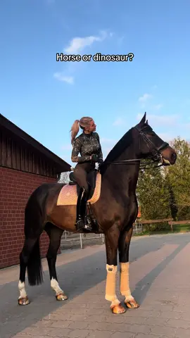 wrong answers only 😎🔥 #foryou #fy #equestrian 