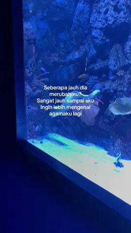 Kalo udah di sakitin manusia baru minta tuhan yang nyembuhin #katakatahariini #katakata #cerita   #storytime #pulang #fyp #fy #fypシ #fypシ゚viral #fypage #fyppppppppppppppppppppppp 