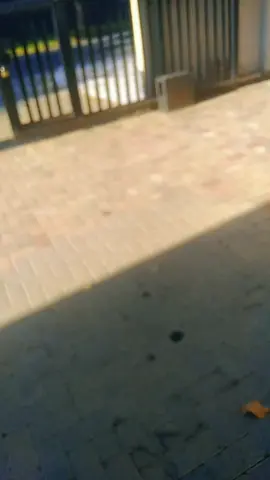 After Work Shandis #SAMA28 #duet #MrPriceEverydayViral 