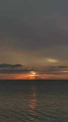 kok sakit ya? padahal cuma instrumen #galaubrutal #lyrics #liriklagu #4u 