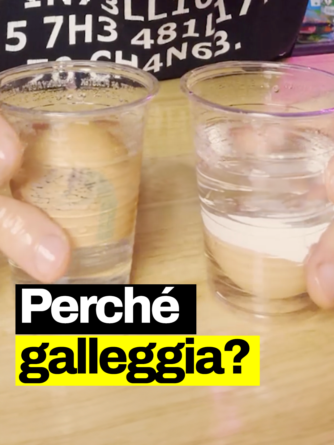 Ma com’è possibile che galleggia? È davvero merito dell’amore? Macchè! 😁 #geopop #scienze #esperimento #imparacopngeopop #losapeviche #fiugononlosapevo #geopopit